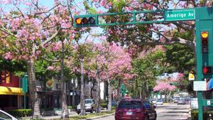 Downtown Fullerton Flickr